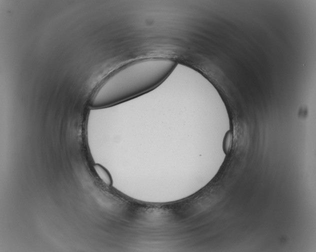 X0000112360348200909241131