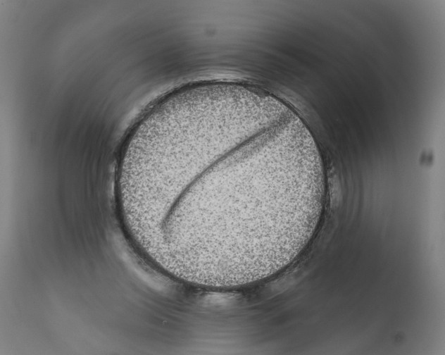 X0000112360350200909241131