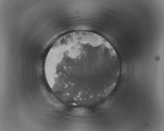 X0000112360351200909241131