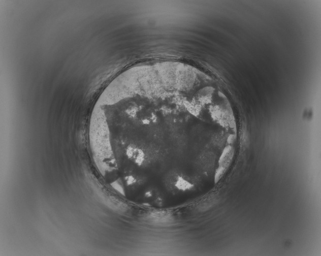 X0000112360353200909241131