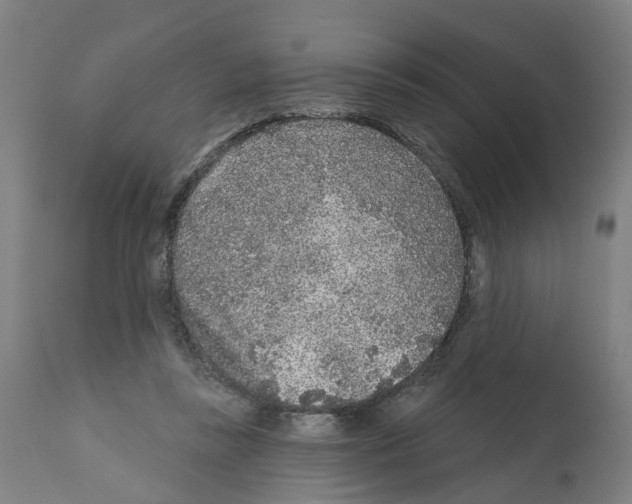 X0000112360355200909241131