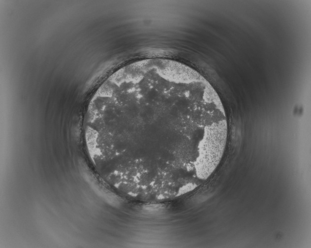X0000112360357200909241131