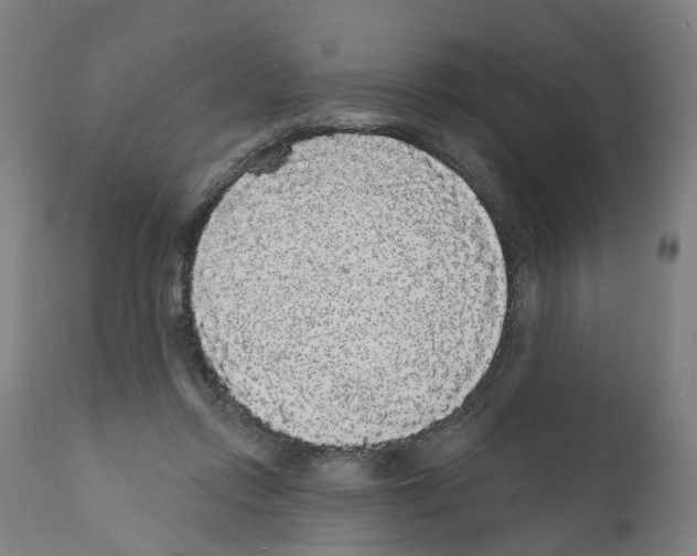 X0000112360358200909241131
