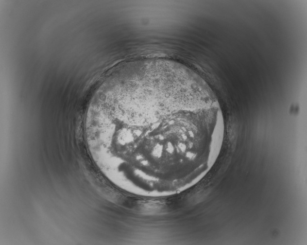 X0000112360359200909241131