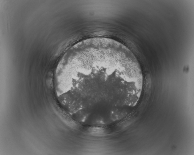 X0000112360361200909241131