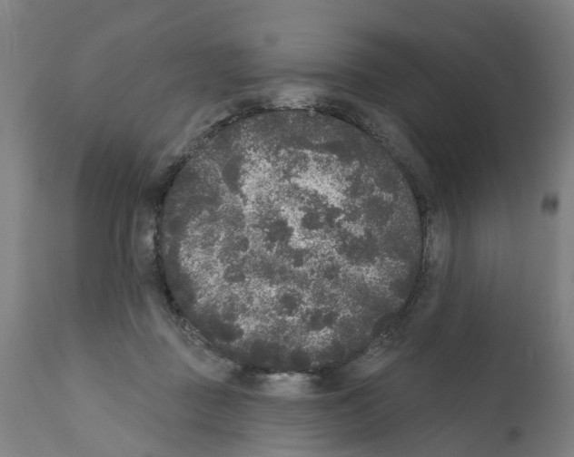 X0000112360363200909241132
