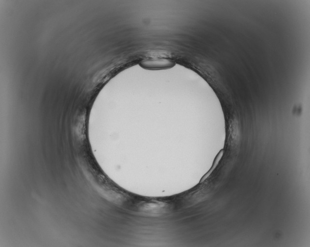 X0000112360364200909241132