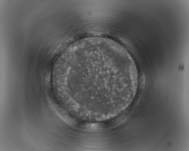 X0000112360365200909241132