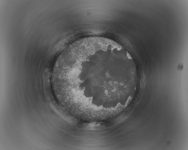 X0000112360366200909241132