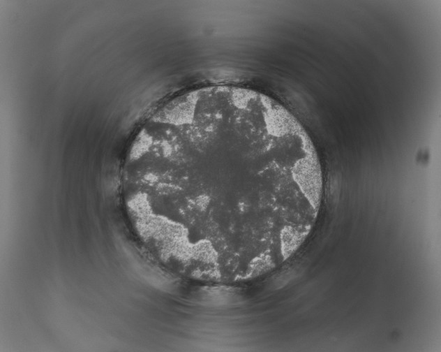 X0000112360367200909241132