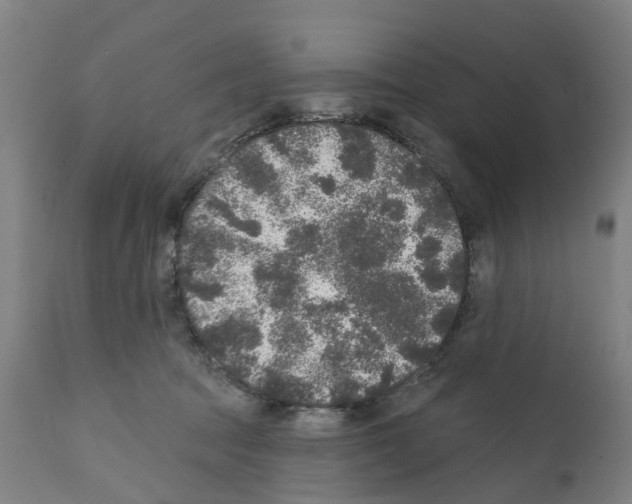 X0000112360369200909241132