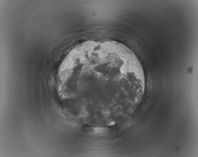X0000112360371200909241132