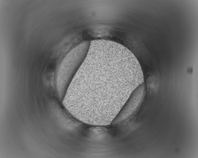 X0000112360372200909241132