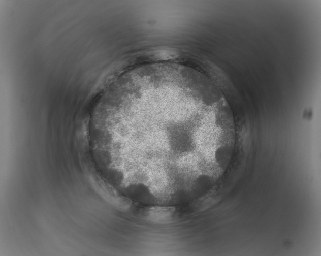 X0000112360373200909241132
