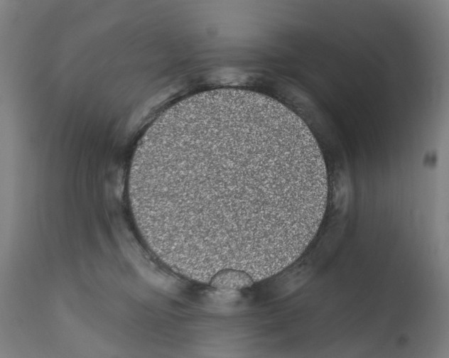 X0000112360374200909241132