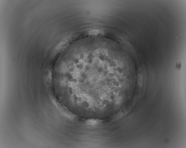 X0000112360375200909241132