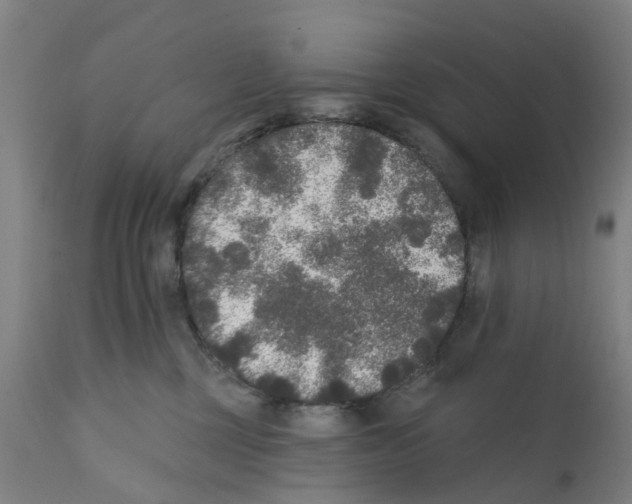 X0000112360377200909241132