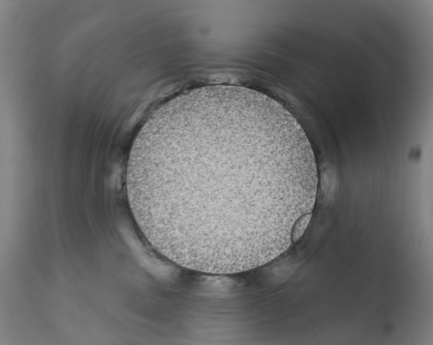 X0000112360379200909241132