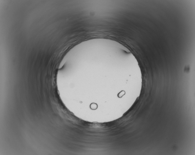 X0000112360380200909241132