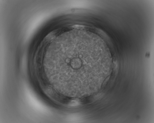 X0000112360381200909241132