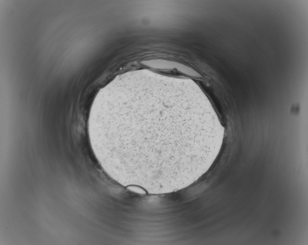 X0000112360382200909241132