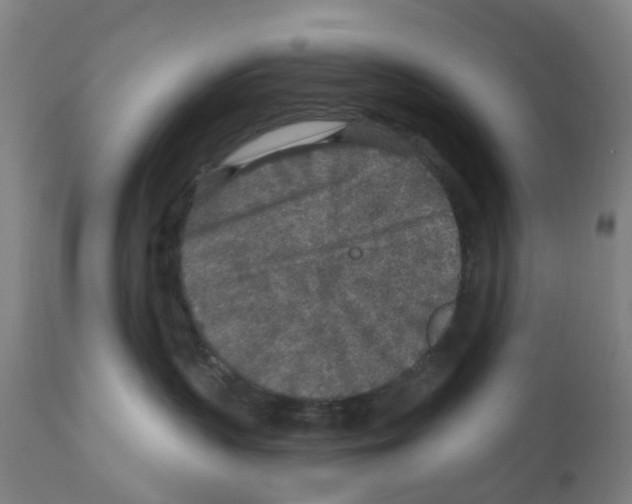 X0000112360383200909241132