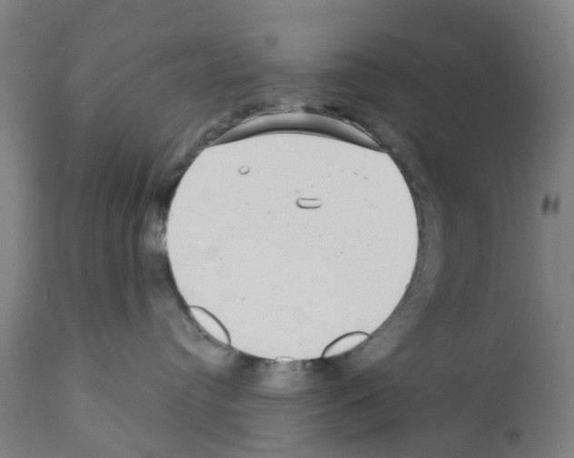 X0000112360384200909241132