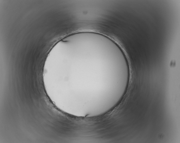 X0000112360385200909241131