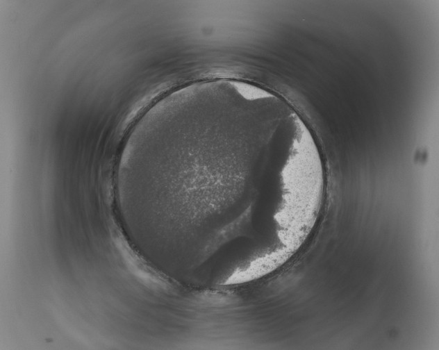 X0000112360386200909241131
