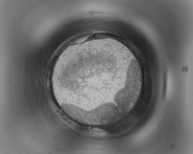 X0000112360387200909241131