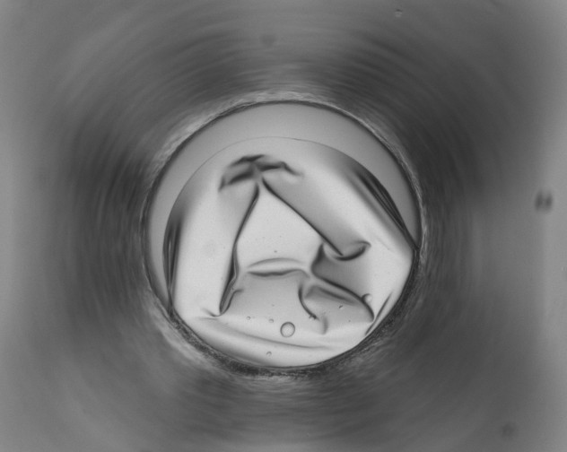 X0000112360389200909241131