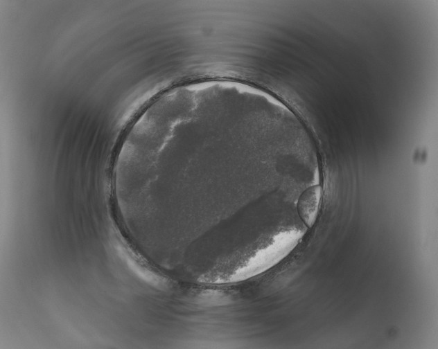 X0000112360390200909241131