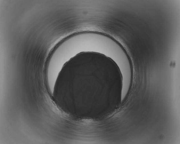 X0000112360391200909241131