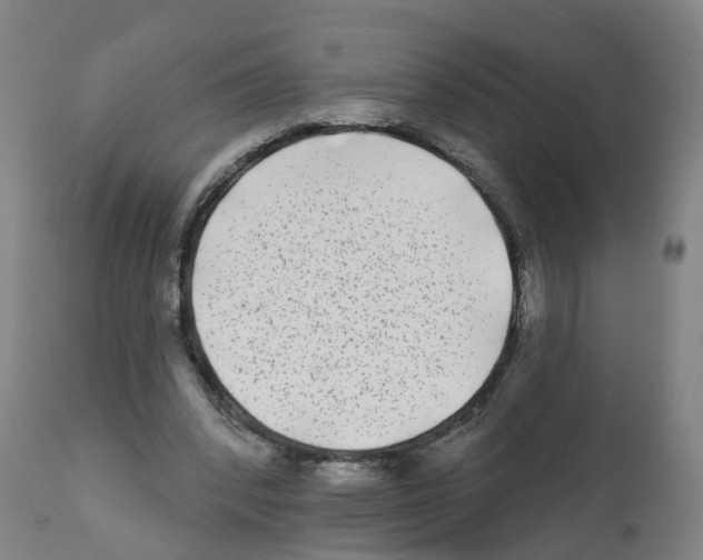 X0000112360392200909241131