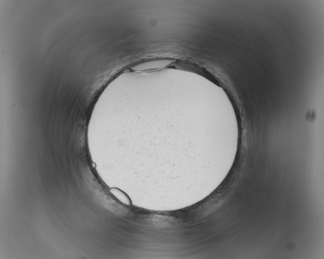 X0000112360393200909241131