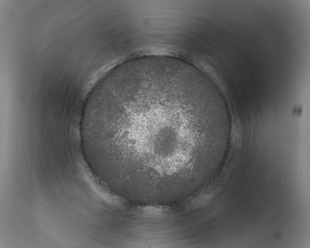 X0000112360394200909241131