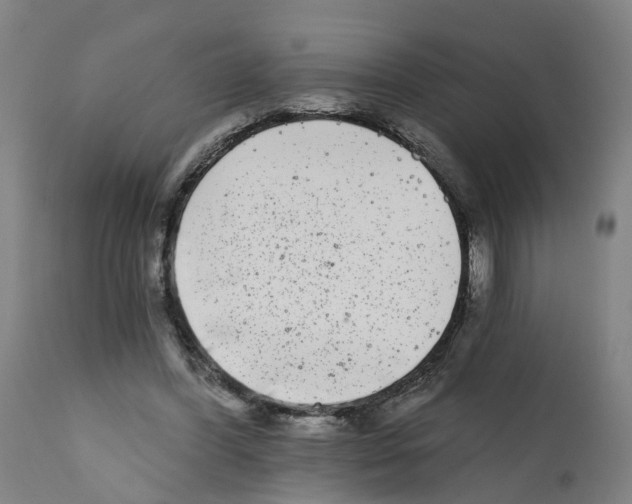 X0000112360396200909241131