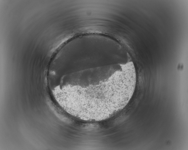X0000112360398200909241131