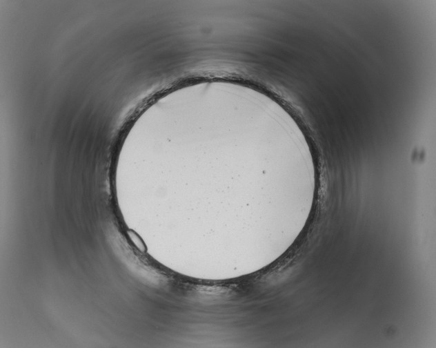 X0000112360399200909241131