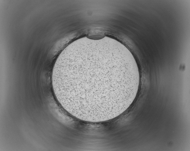 X0000112360401200909241131