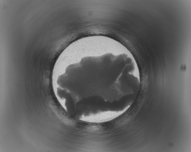 X0000112360402200909241131