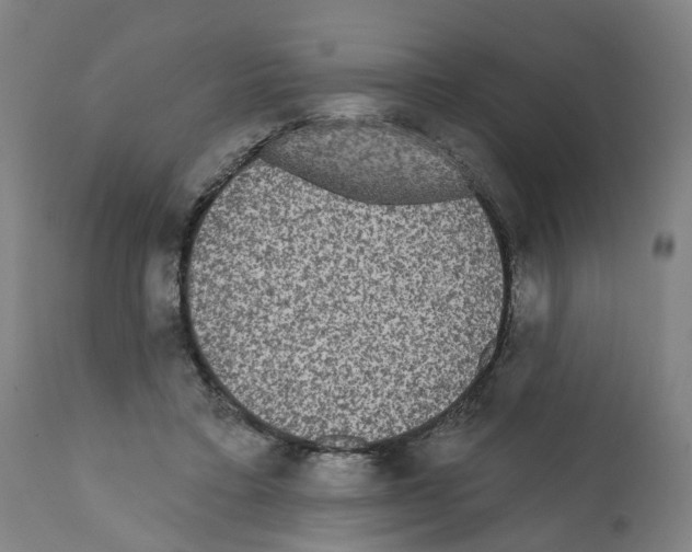 X0000112360403200909241131