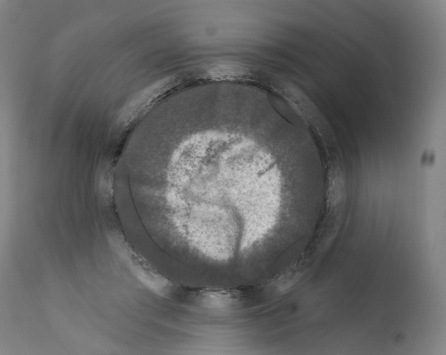 X0000112360405200909241131