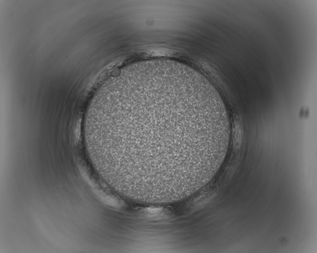 X0000112360406200909241131