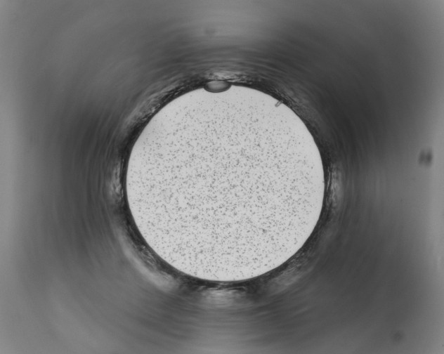 X0000112360408200909241131