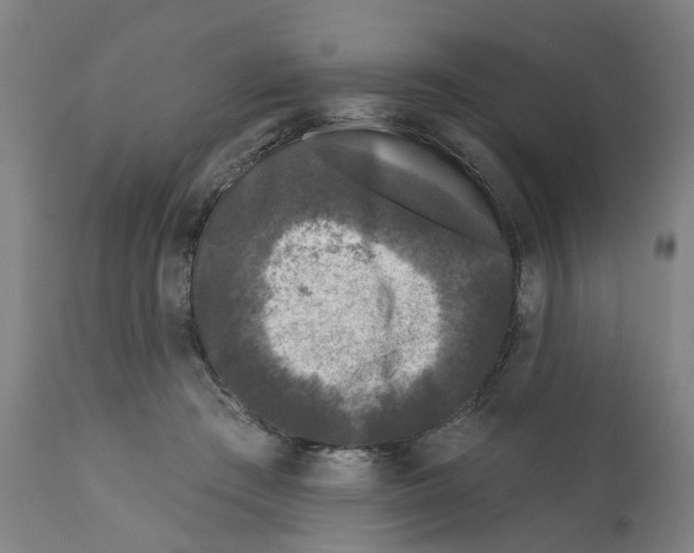 X0000112360409200909241131