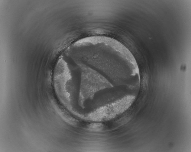 X0000112360410200909241131