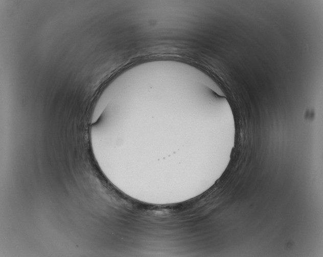 X0000112360411200909241131