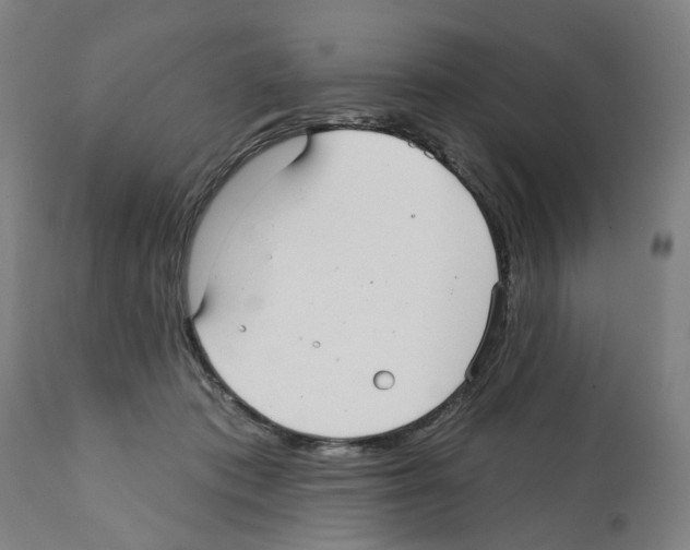 X0000112360413200909241131