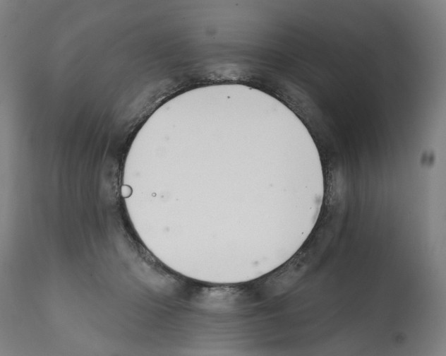 X0000112360414200909241131